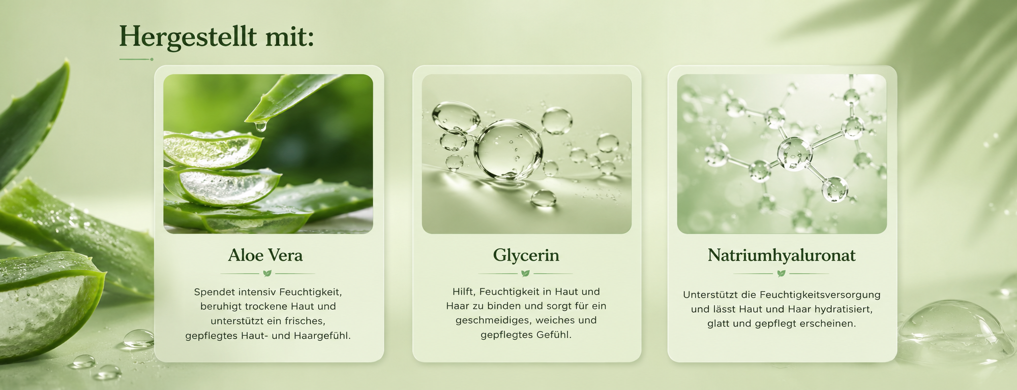 Bannerbild für Loriini Aloe Vera Gel mit den drei Hauptinhaltsstoffen Aloe Vera, Glycerin und Natriumhyaluronat auf grünem Hintergrund.