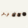 African Pride Moisture Miracle Coconut Milk & Honey Leave - In Conditioner - CosFair GmbH