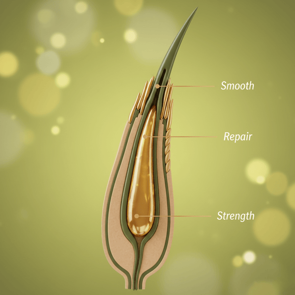 Africa’s Best Organics Olive Oil Conditioning Relaxer Super Value Pack - CosFair GmbH