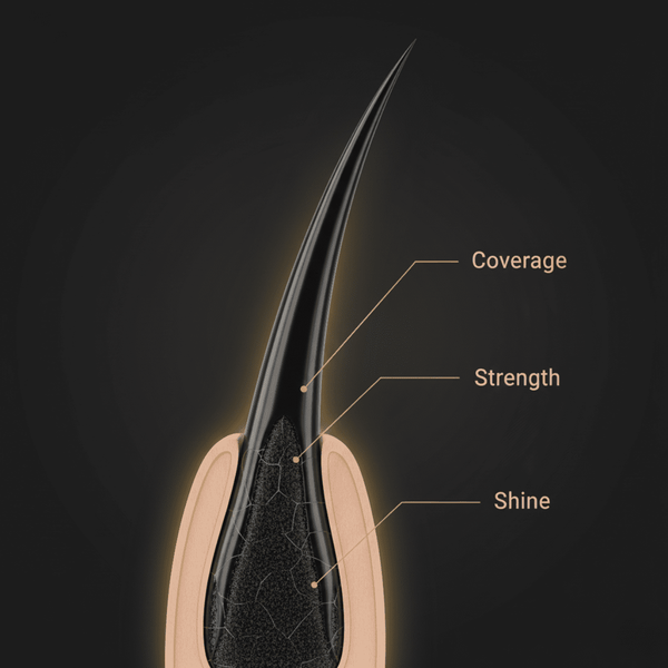 Bigen Men's Beard Colour B100 - Real Black - CosFair GmbH