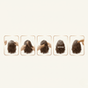 Creme of Nature Pure Honey Breakage Leave - in Conditioner 236ml - CosFair GmbH