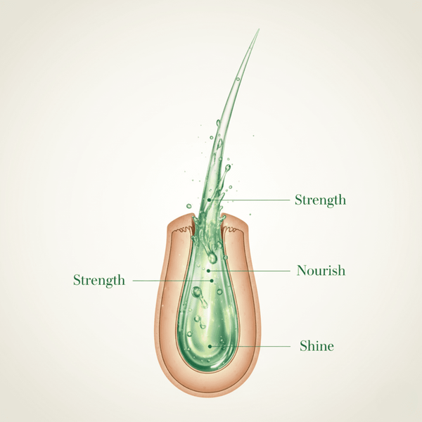 Dabur Amla Hair Oil 100ml - CosFair GmbH