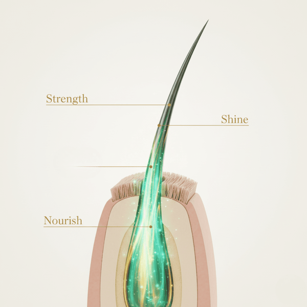 Dabur Amla Hair Oil 300ml - CosFair GmbH