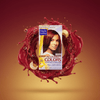Dark & Lovely Reviving Hair Color 394 Ravishing Red - CosFair GmbH