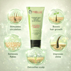 Mielle Rosemary Mint Clarifying Sugar Scalp Scrub - CosFair GmbH