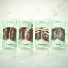 Mielle Rosemary Mint Clarifying Sugar Scalp Scrub - CosFair GmbH