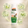 Palmer's Coconut Moisture Boost Shampoo 400ml - CosFair GmbH