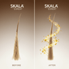 SKALA Expert Óleo de Argan Shampoo 325ml - CosFair GmbH