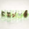 Yari Green Curls Sulfate - Free Hair Curl Activator 355 ml - CosFair GmbH