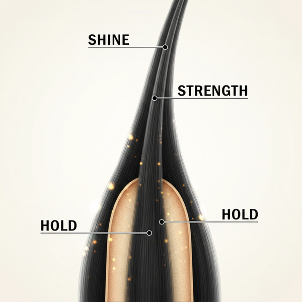 3D Darstellung der Haarfaser zeigt Halt, Stärke und Glanz durch die Wirkung von DAX Black Bees-Wax