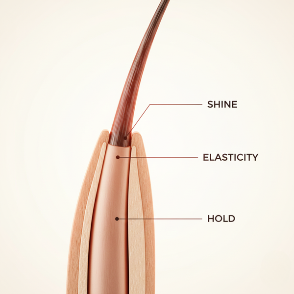 3D Darstellung der Haarfaser mit DAX Marcel Curling Wax – Halt, Elastizität und Glanz für Locken und Wellen