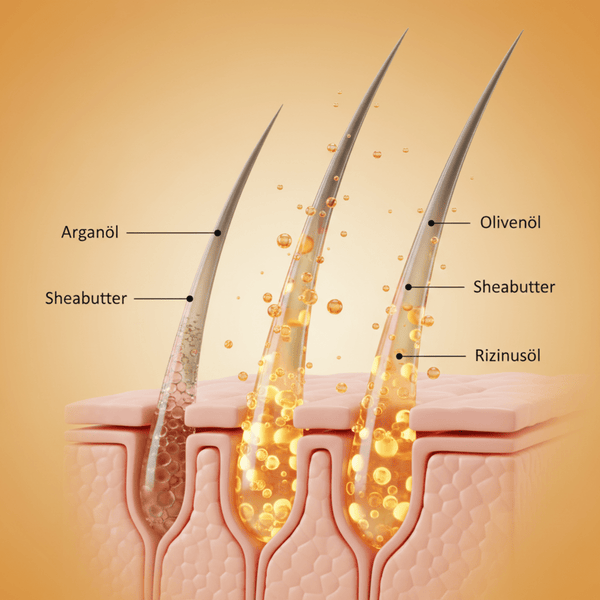 Cantu TXTR Cleansing Oil Shampoo 473 ml - CosFair GmbH