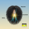 3D-Schnittdarstellung einer reparierten Haarfaser mit Feature-Labels ‘Reparatur’, ‘Feuchtigkeit’ und ‘Stärke’ sowie kleiner Produktabbildung der Blueberry Bliss Hair Mask.