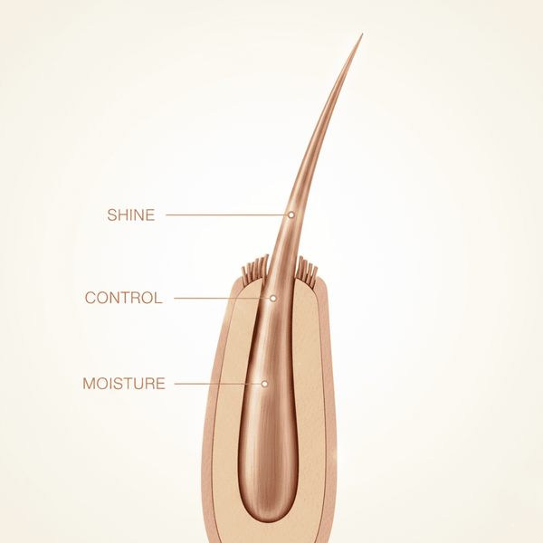 Dax Neat Waves Hair Dress Medium Hold 99g - CosFair GmbH