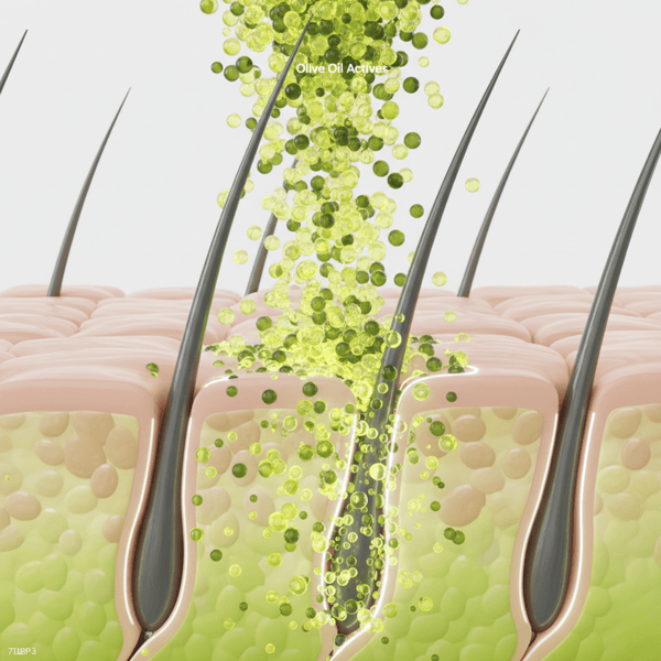 Eco Styler Olive Oil Gel 946ml - CosFair GmbH