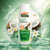 Palmer's Coconut Moisture Boost Shampoo 400ml - CosFair GmbH