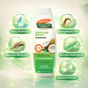 Palmer's Coconut Oil Formula Moisture Boost Shampoo 400 ml - CosFair GmbH
