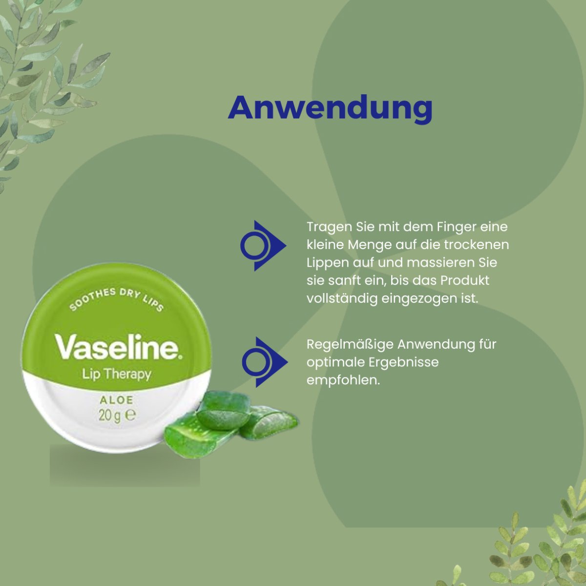 Vaseline Lip Therapy Aloe 20g - CosFair GmbH