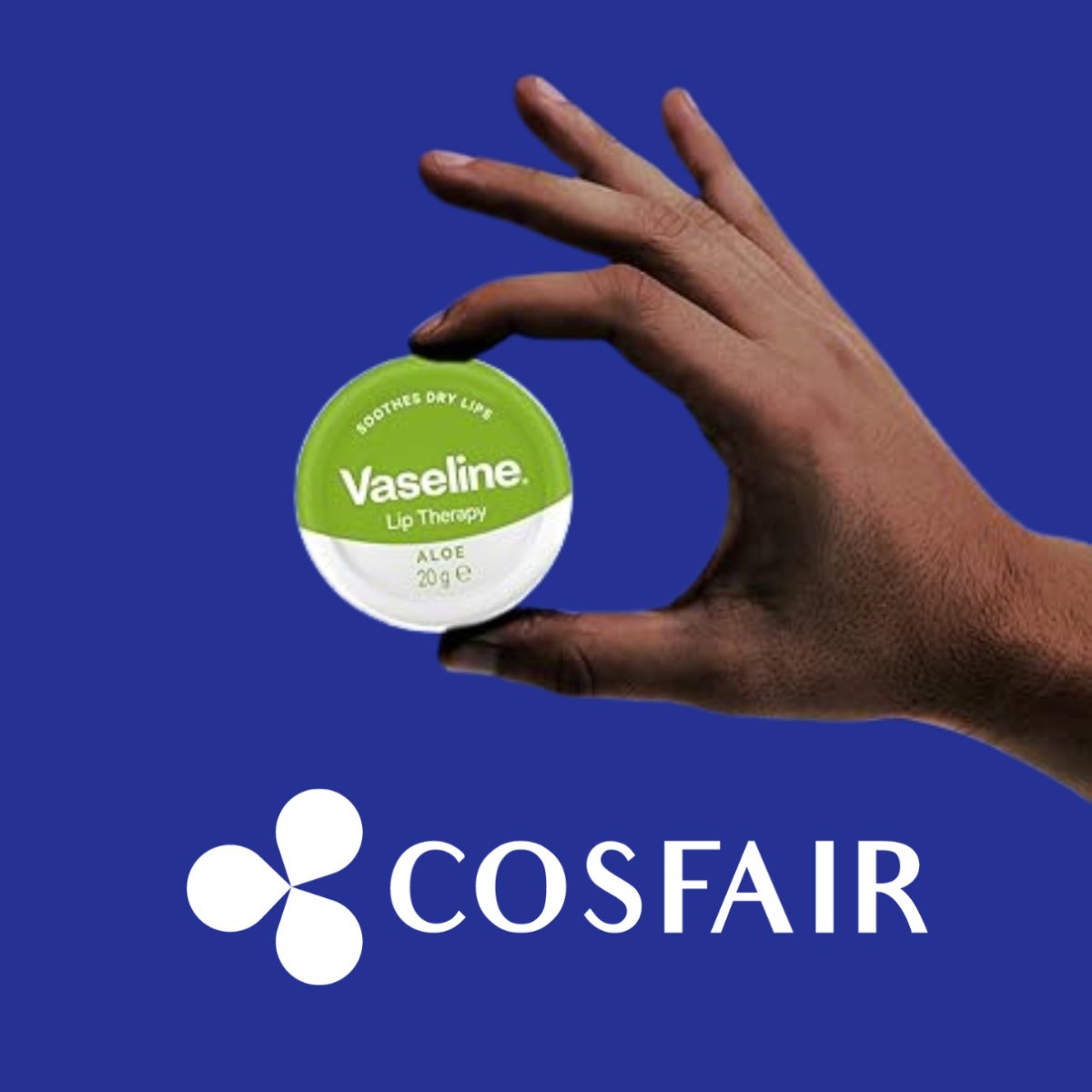 Vaseline Lip Therapy Aloe 20g - CosFair GmbH