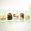 Yari 100% Natural Rosemary Oil 250 ml - CosFair GmbH